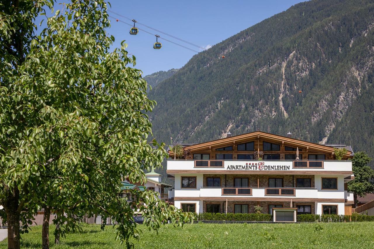 Apartments Edenlehen Mayrhofen Dış mekan fotoğraf